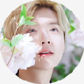 EXO病玫瑰